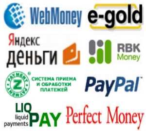 3. Электронные платежные системы